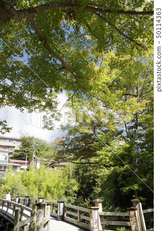 Saruhashi(秋天) Saruhashi(秋天) 50114363