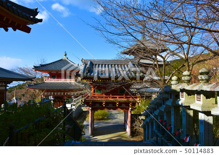 Fusaka Temple西部國家第33位第6位法案地方 50114883