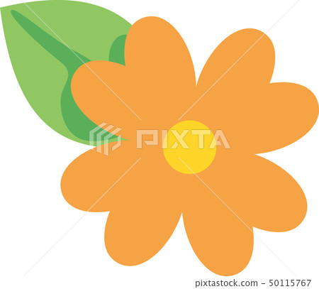 Orange flowers Orange flowers 50115767