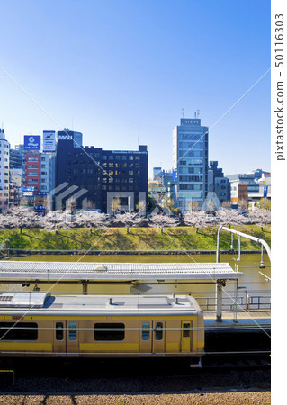 [東京] Gaien Park的櫻花盛開 50116303