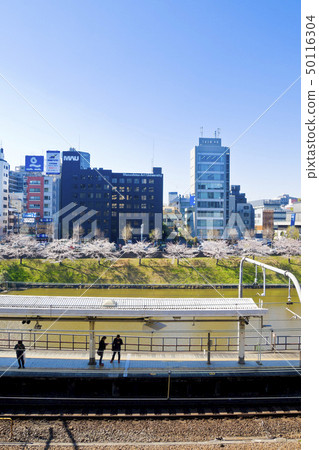 [東京] Gaien Park的櫻花盛開 50116304