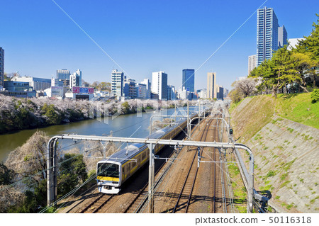 [東京] Gaien Park的櫻花盛開 50116318