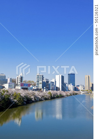 [Tokyo] Cherry blossoms in Gaien Park 50116321
