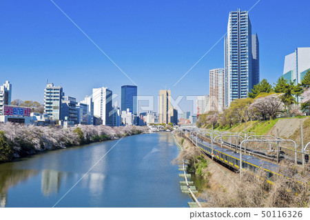 [東京] Gaien Park的櫻花盛開 50116326