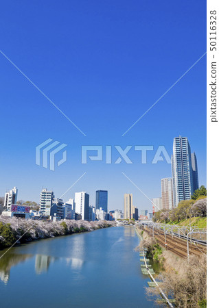 [東京] Gaien Park的櫻花盛開 50116328