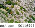 Nichinan Flower Park 50116595