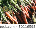 Organic vegetable carrot 50116598