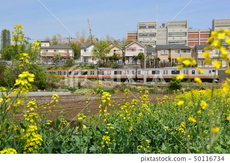 Field in the suburbs of Tokyo Hino City Nishidairayama 4 Field in the suburbs of Tokyo Hino City Nishidairayama 4 50116734