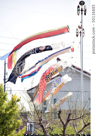 Carp streamer 50116885