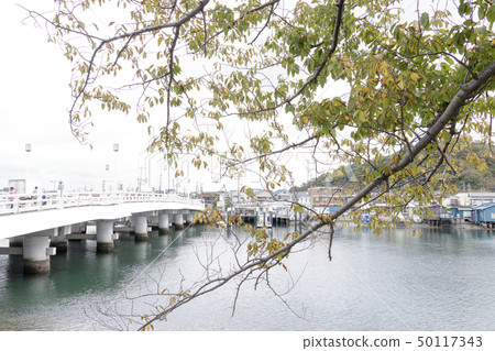 Hiragata灣（秋季） 50117343