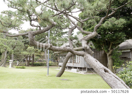 Hirofumi Ito，一個獨立的住所 50117626