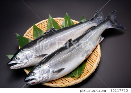 Salmon fish 50117730