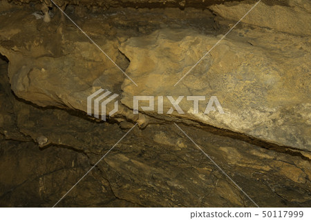 [Shizuoka Prefecture] Ryugaiwa Cave 50117999