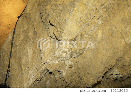 [Shizuoka Prefecture] Ryugaiwa Cave 50118013