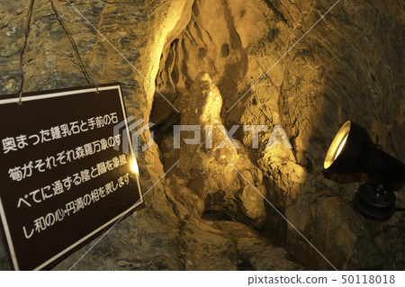 [Shizuoka Prefecture] Ryugaiwa Cave 50118018