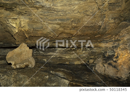 [靜岡縣]龍巖洞 50118345