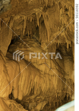[Shizuoka Prefecture] Ryugaiwa Cave 50118392