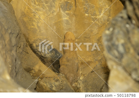 [Shizuoka Prefecture] Ryugaiwa Cave 50118798
