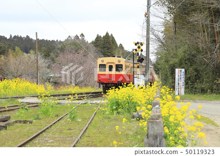 春天小島鐵路里美站 50119323