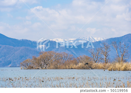 滋賀縣冬季湖北風光 滋賀縣冬季湖北風光 50119956