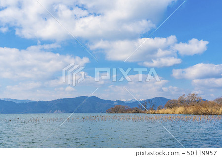 滋賀縣冬季湖北風光 滋賀縣冬季湖北風光 50119957