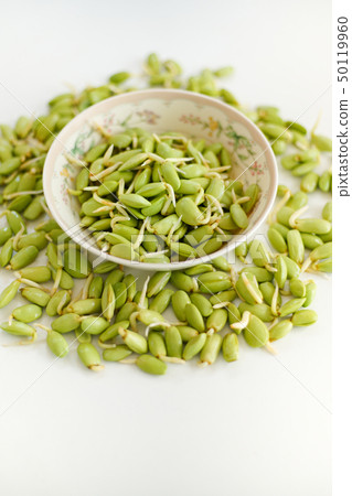 Closed up fresh Nitta bean sprouts in basket. Closed up fresh Nitta bean sprouts in basket. 50119960