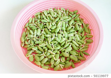 Closed up fresh Nitta bean sprouts in basket. 50119977