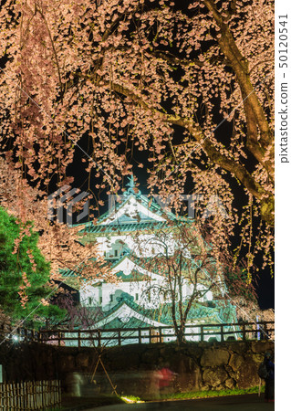 在春天點燃和重新安置的弘前城堡的景觀 50120541