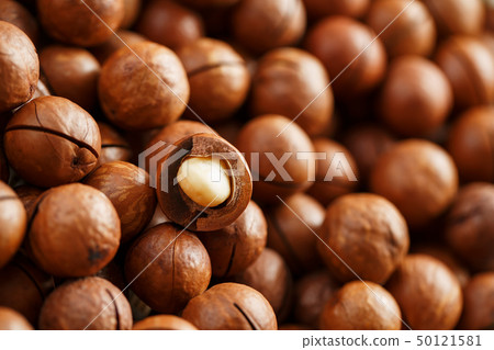Texture of organic macadamia nut fresh natural Texture of organic macadamia nut fresh natural 50121581