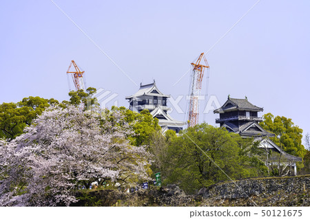 It is worth visiting now Kumamoto Castle (April 7, 2019) 50121675