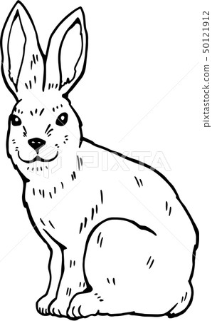 Handwritten rabbit illustration - Stock Illustration [50121912] - PIXTA
