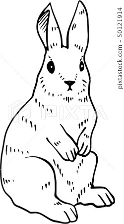 Handwritten rabbit illustration 50121914
