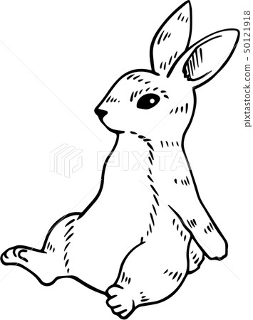 手寫的兔子例證 手寫的兔子例證 50121918