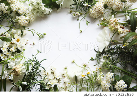 Background image of white flowers and herbs 50122656