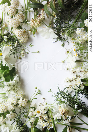 Background image of white flowers and herbs 50122658