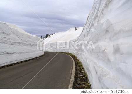 Mount Shirane Shibusagi Snow scene Spring 50123034