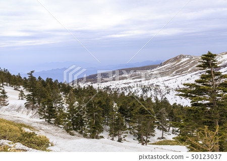 Mount Shirane Shibusagi Snow scene Spring 50123037