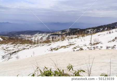 Mount Shirane Shibusagi Snow scene Spring 50123039