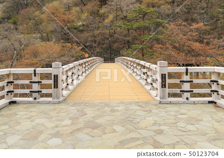 Agatsuma Valley Salushi 50123704