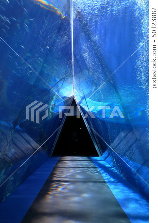 隧道射擊許可/合作：海藍寶石福島 50123882