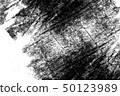 white black paint brush strokes background  50123989