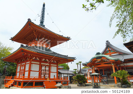 Aichi Prefecture Owari Shikannon Ryusenji Main Hall and Taho Tower 50124189