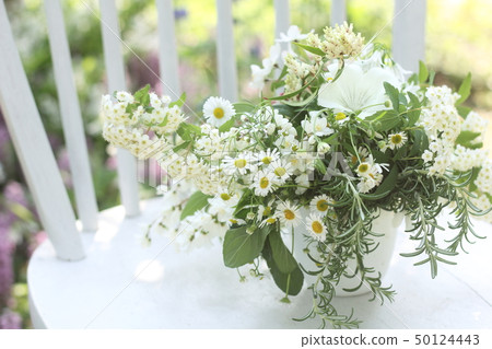 在庭院椅子安置的花和草本安排 50124443