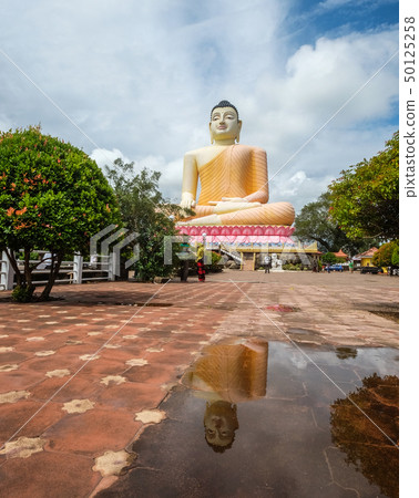 Giant Buddha in Dambulla, Sri Lanka 50125258