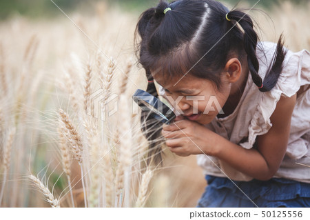 girl look the wheat through a magnifying glass girl look the wheat through a magnifying glass 50125556
