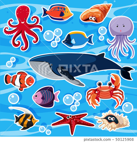 Sticker template with many sea animals Sticker template with many sea animals 50125908