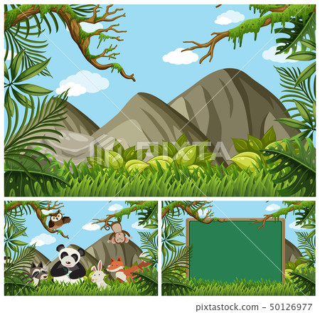 Background scenes with animals in the woods 50126977