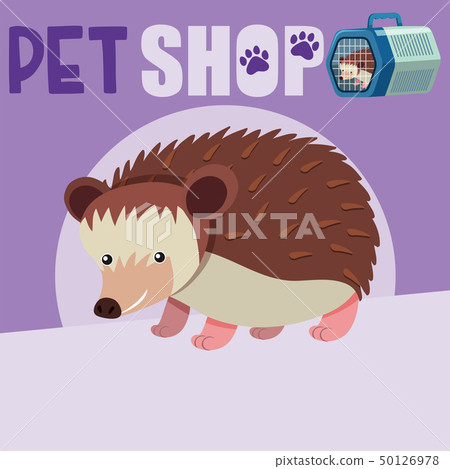 Poster design for pet shop with cute hedgehog Poster design for pet shop with cute hedgehog 50126978