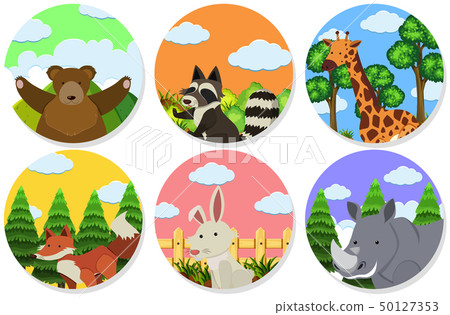Wild animals on round badges Wild animals on round badges 50127353