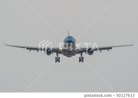 Passenger airplane landing at the airport 50127613